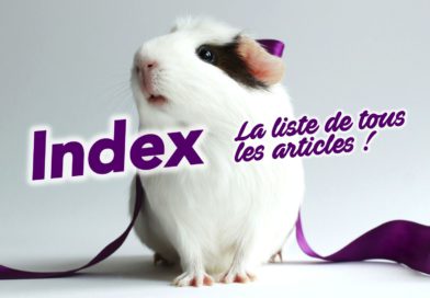 INDEX (sitemap) : la liste de tous les articles